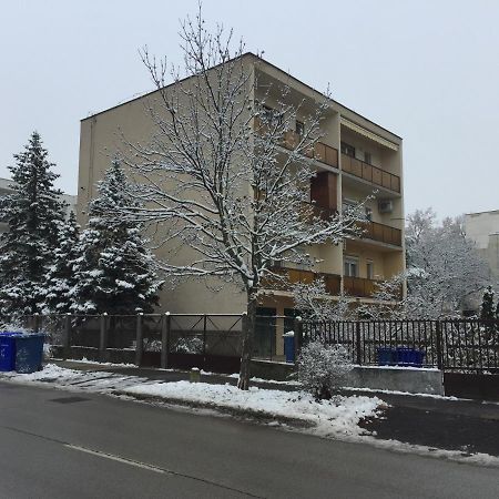 Next To University Debrecen Exterior photo